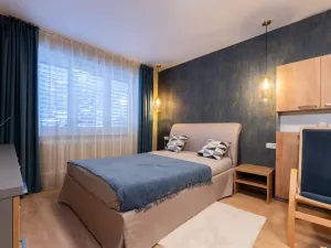 Prodej bytu 1+kk, Ústí nad Labem, SNP, 29 m2