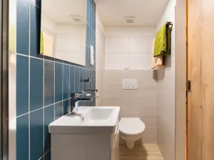 Prodej bytu 1+kk, Ústí nad Labem, SNP, 29 m2