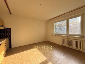 Prodej bytu 2+kk, Teplice, Scheinerova, 43 m2