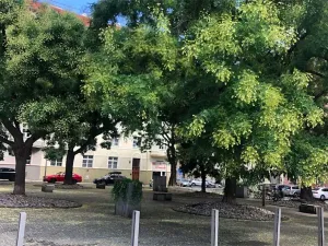 Pronájem bytu 2+kk, Praha - Holešovice, 48 m2