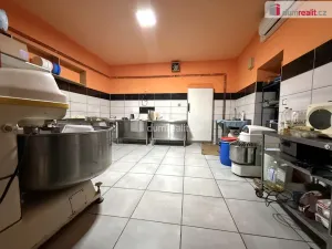 Pronájem komerční nemovitosti, Zlín - Malenovice, Masarykova, 130 m2