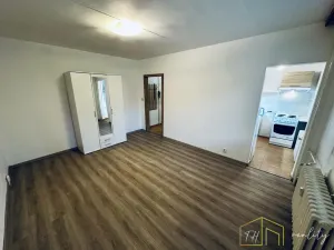 Prodej bytu 1+1, Bílina - Pražské Předměstí, Alšova, 27 m2