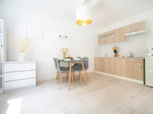 Prodej bytu 2+kk, Jeseník, Na Mýtince, 58 m2