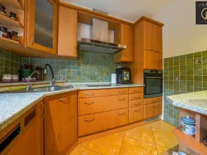 Prodej rodinného domu, Neprobylice, 202 m2