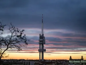 Prodej bytu 2+kk, Praha - Žižkov, Jana Želivského, 44 m2