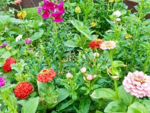 Prodej rodinného domu, Liberec - Liberec XXX-Vratislavice nad Nisou, Zvonková, 225 m2