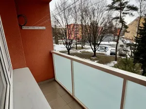 Pronájem bytu 2+1, Karviná, Borovského, 60 m2