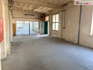 Pronájem skladu, Podivín, Husova, 130 m2