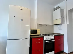 Pronájem bytu 1+1, Ostrava - Moravská Ostrava, Gorkého, 54 m2