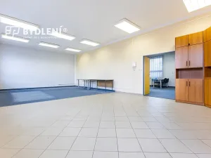 Pronájem kanceláře, Teplice, Modlanská, 153 m2
