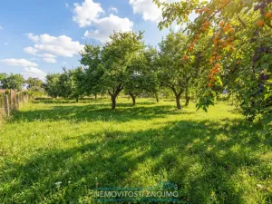 Prodej rodinného domu, Pavlov, Družstevní, 284 m2