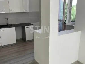 Pronájem bytu 2+kk, Ostrava, Bohumínská, 49 m2