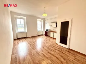 Pronájem bytu 1+kk, Plzeň, Skvrňanská, 30 m2