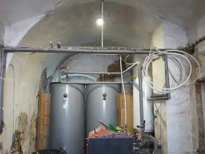 Prodej zemědělské usedlosti, Bukovník, 167 m2