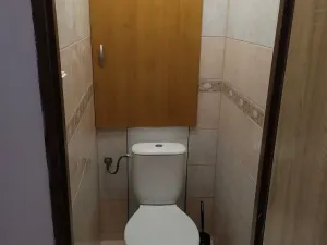 Prodej bytu 2+1, Chodov, Budovatelů, 55 m2