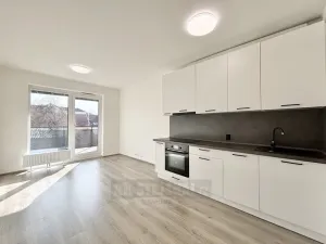Pronájem bytu 1+kk, České Budějovice - České Budějovice 2, Na Zlaté stoce, 28 m2
