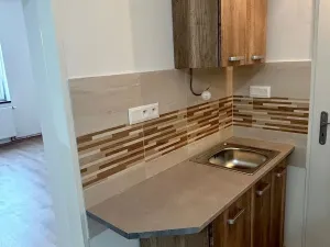 Pronájem bytu 1+kk, Praha - Strašnice, Věšínova, 40 m2