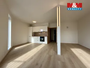 Pronájem bytu 1+kk, České Budějovice - České Budějovice 5, Dobrovodská, 40 m2