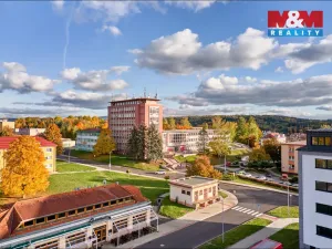 Pronájem obchodního prostoru, Ostrov, Lidická, 120 m2