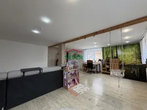 Prodej rodinného domu, Hrušovany, 208 m2