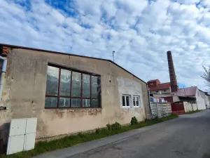 Pronájem obchodního prostoru, Přelouč, Sportovní, 1800 m2