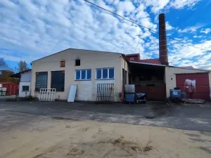 Pronájem obchodního prostoru, Přelouč, Sportovní, 1800 m2