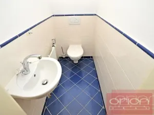 Pronájem bytu 2+1, Praha - Vinohrady, Mánesova, 91 m2