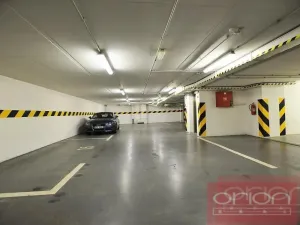 Pronájem bytu 2+1, Praha - Vinohrady, Mánesova, 91 m2