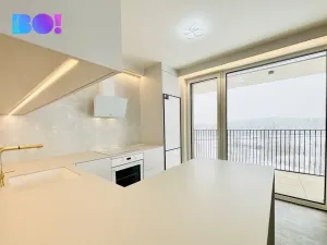 Pronájem bytu 2+kk, Ostrava, F. X. Riepla, 54 m2