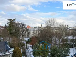 Pronájem kanceláře, Olomouc, Karolíny Světlé, 20 m2