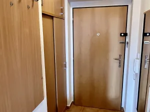 Prodej bytu 1+kk, Zlín, Zelinova, 30 m2