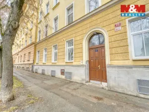 Prodej bytu 1+kk, Plzeň - Východní Předměstí, Plzenecká, 30 m2