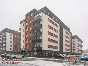 Pronájem bytu 1+kk, Pardubice - Zelené Předměstí, Rokycanova, 29 m2