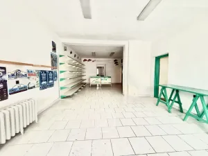 Pronájem obchodního prostoru, Plzeň, Sušická, 62 m2