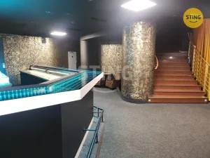 Pronájem komerční nemovitosti, Přerov, Wilsonova, 210 m2