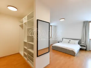 Pronájem bytu 2+kk, Praha - Krč, Panuškova, 83 m2