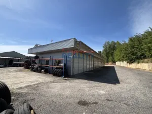 Pronájem skladu, Lišov, Miletínská, 350 m2