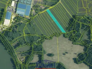 Prodej pole, Veselí nad Lužnicí, 11315 m2