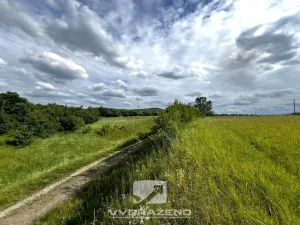 Prodej louky, Bakov nad Jizerou, 957 m2