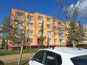 Pronájem bytu 1+1, Žatec, Stavbařů, 40 m2