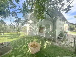 Prodej rodinného domu, Skorošice, 522 m2