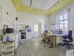 Pronájem komerční nemovitosti, Duchcov, Tyršova, 295 m2