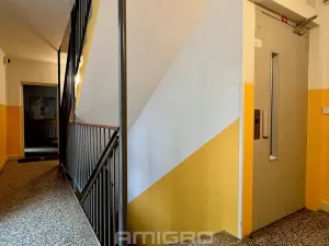 Prodej bytu 3+1, Brno, Zikova, 78 m2