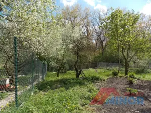 Prodej zahrady, Slaný, Husova, 975 m2