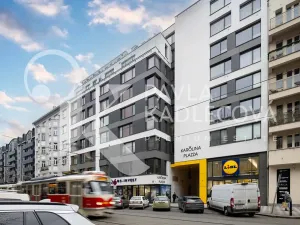 Pronájem bytu 3+kk, Praha - Karlín, Sokolovská, 100 m2