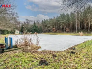 Prodej pozemku, Říčany, 13525 m2