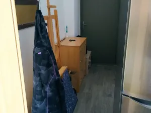 Pronájem bytu 1+kk, Holovousy, 20 m2