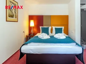 Prodej ubytování, Mařenice, 750 m2