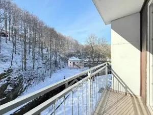 Prodej bytu 2+1, Desná, Krátká, 55 m2