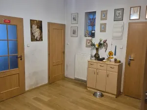 Prodej bytu 5+kk, Brno, Heinrichova, 150 m2